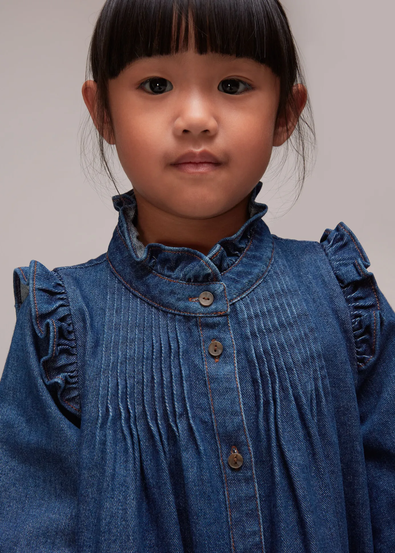 Denim Nell Denim Dress